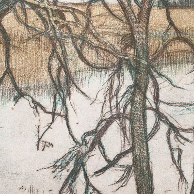 Lake Shore With Reeds Eero Järnefelt ejr21 canvas print