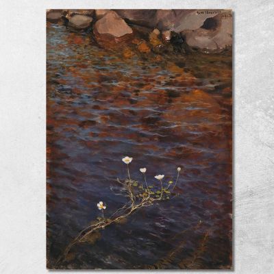 Pond Water Crowfoot Eero Järnefelt ejr26 canvas print 