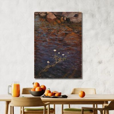 Pond Water Crowfoot Eero Järnefelt ejr26 canvas print 