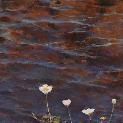 Pond Water Crowfoot Eero Järnefelt ejr26 canvas print