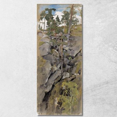 Rocky Forest Eero Järnefelt ejr32 canvas print 