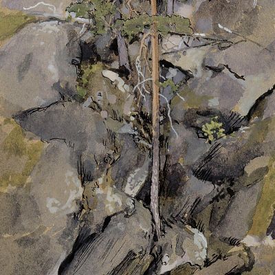 Rocky Forest Eero Järnefelt ejr32 canvas print