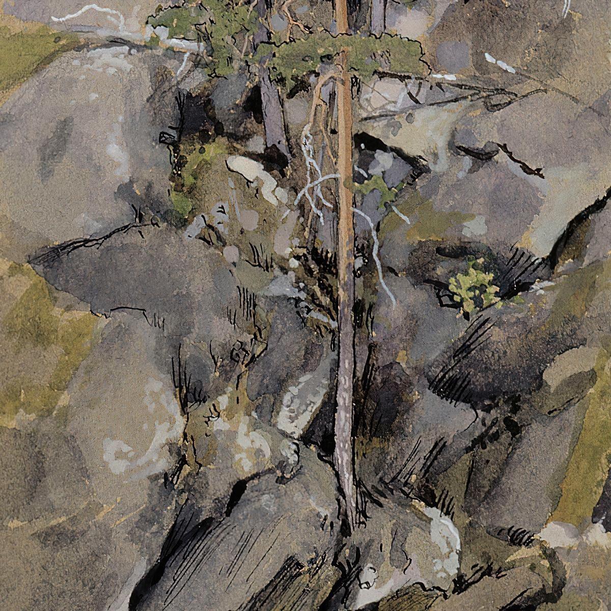 Rocky Forest Eero Järnefelt ejr32 canvas print