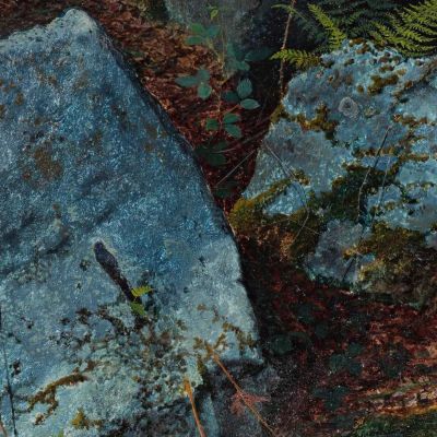 Boulders In Storsforth Wood John Atkinson Grimshaw jag24 canvas print