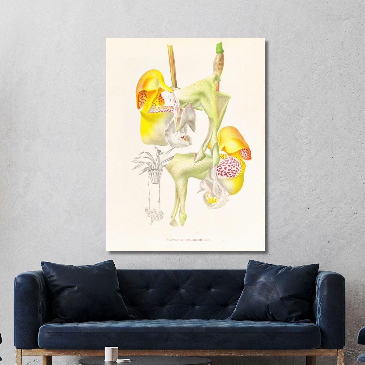 Botanical Illustrations Coryanthes Bungerothi Jean Jules Linden jjl50 ภาพพิมพ์บนผ้าใบแคนวาส