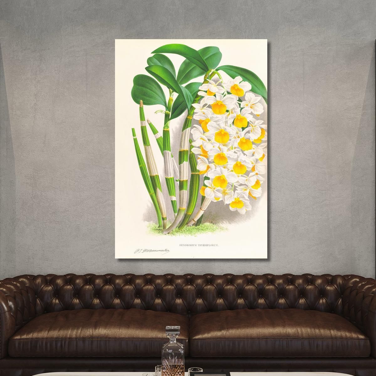 Botanical Illustrations Dendrobium Thyrsiflorum Jean Jules Linden jjl79 ภาพพิมพ์บนผ้าใบแคนวาส