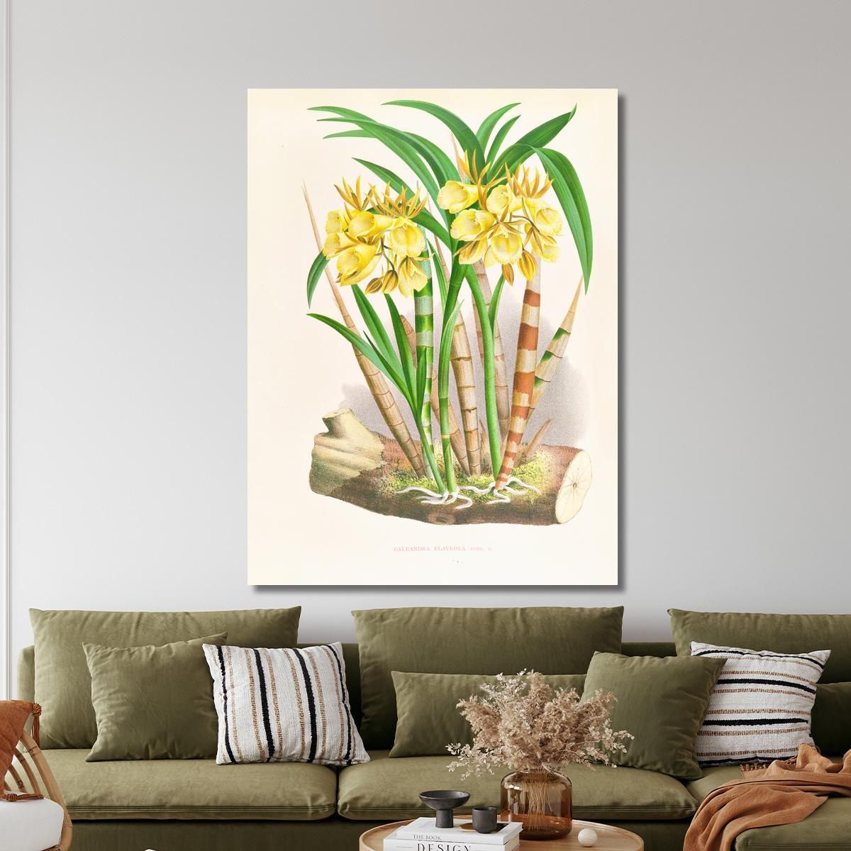 Botanical Illustrations Galeandra Flaveola Jean Jules Linden jjl85 ภาพพิมพ์บนผ้าใบแคนวาส