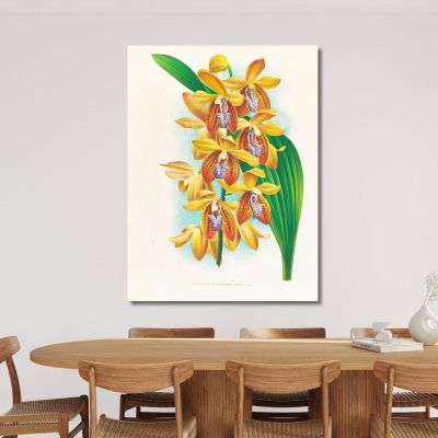Botanical Illustrations Houlletia Brocklehurstiana Jean Jules Linden jjl88 ภาพพิมพ์บนผ้าใบแคนวาส