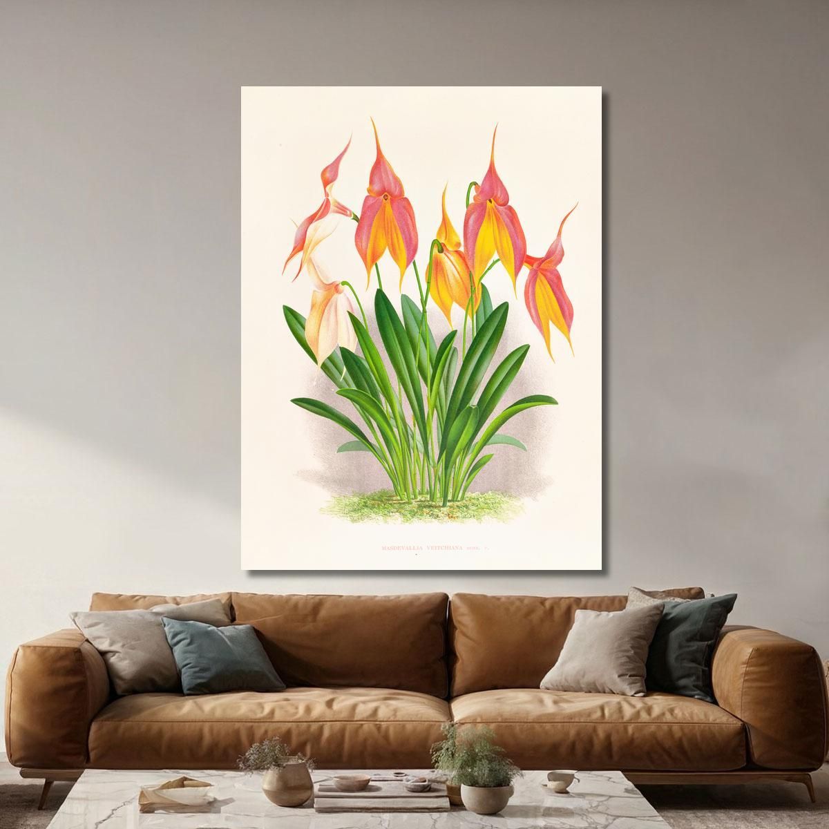 Botanical Illustrations Masdevallia Veitchiana Jean Jules Linden jjl98 ภาพพิมพ์บนผ้าใบแคนวาส