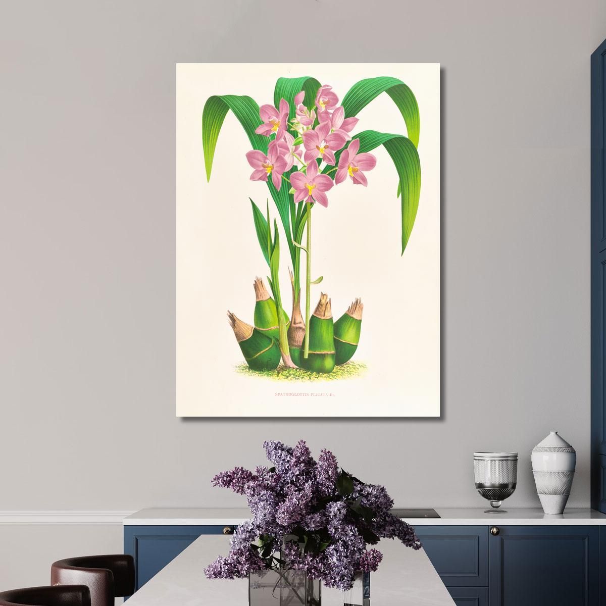 Botanical Illustrations Spathoglottis Plicata Jean Jules Linden jjl151 ภาพพิมพ์บนผ้าใบแคนวาส