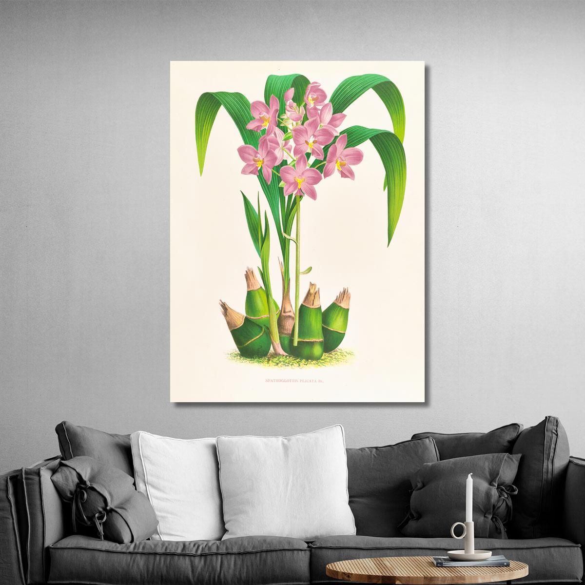Botanical Illustrations Spathoglottis Plicata Jean Jules Linden jjl151 ภาพพิมพ์บนผ้าใบแคนวาส