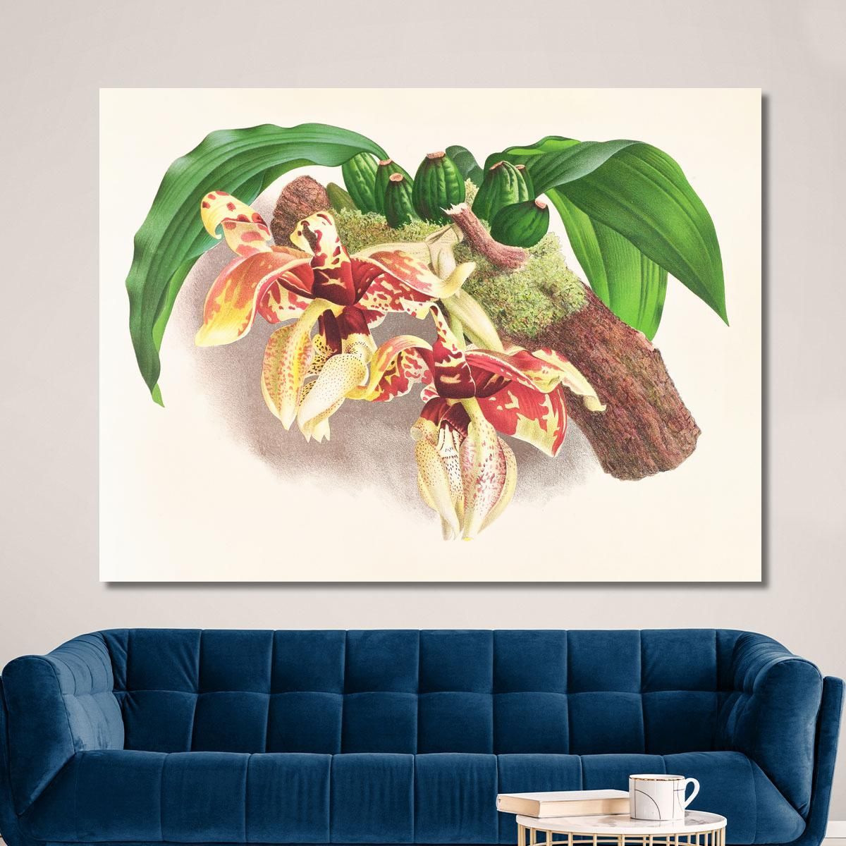 Botanical Illustrations Stanhopea Tigrina Jean Jules Linden jjl153 ภาพพิมพ์บนผ้าใบแคนวาส