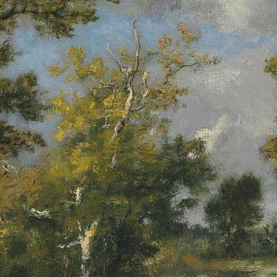 Clearing In The Forest Of Fontainebleau Narcisse-Virgile Diaz de La Peña nvd13 canvas print