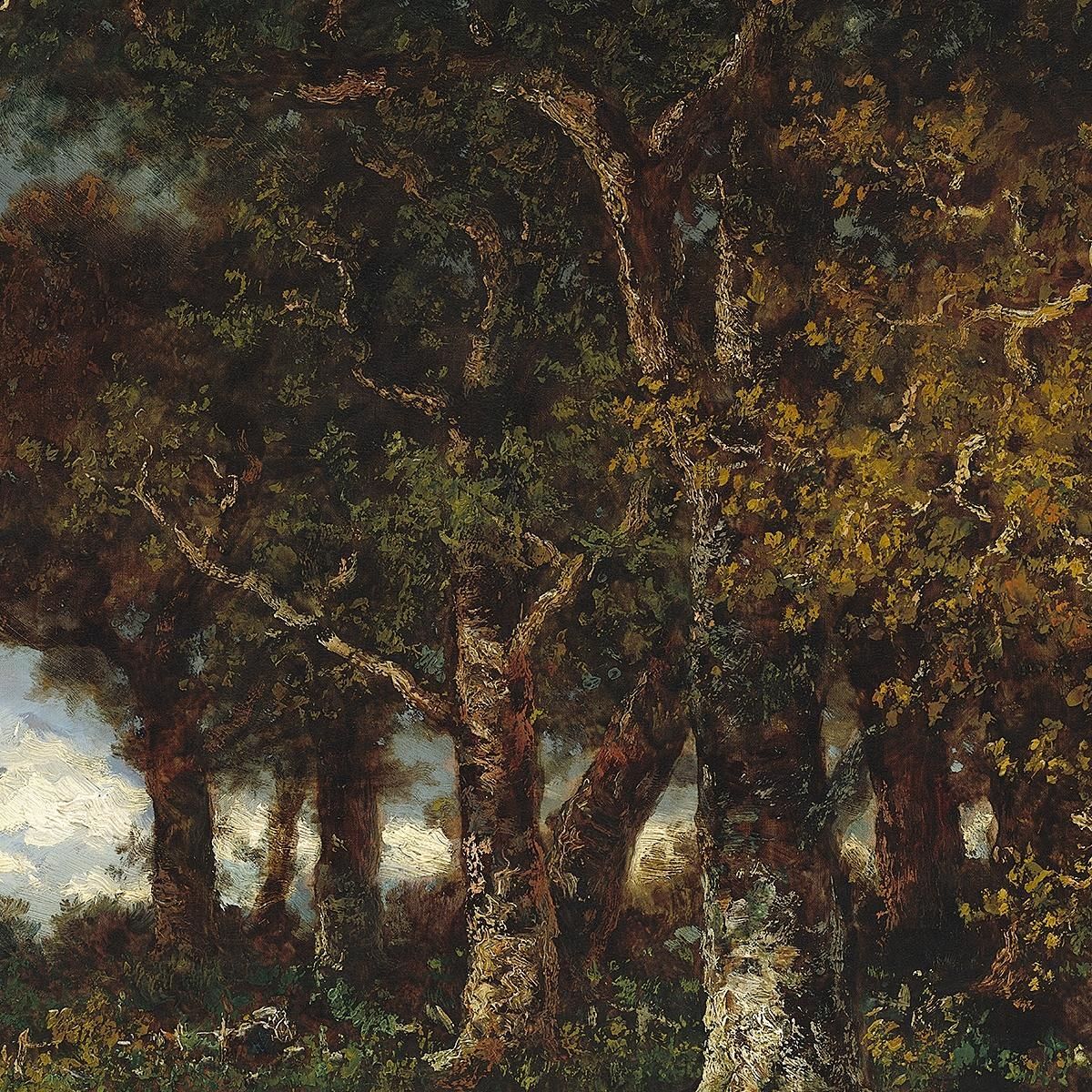 The Edge Of The Forest At Les Monts-Girard Fontainebleau Narcisse-Virgile Diaz de La Peña nvd69 canvas print