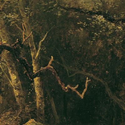 Forest Interior Narcisse-Virgile Diaz de La Peña nvd85 canvas print