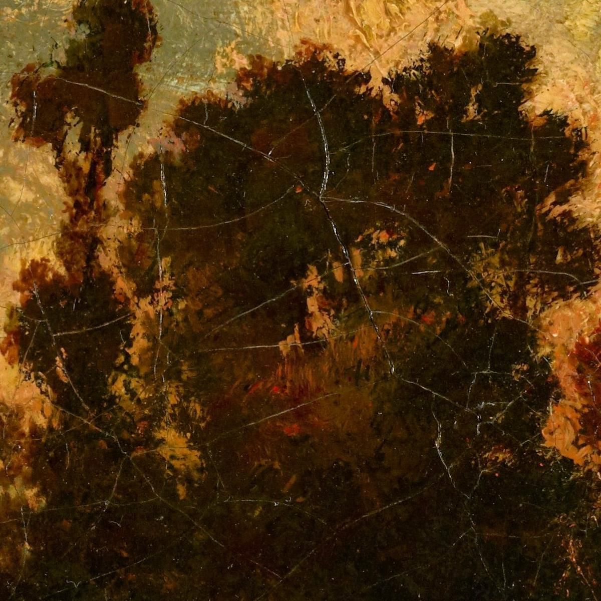 Wet Pasture Narcisse-Virgile Diaz de La Peña nvd86 canvas print