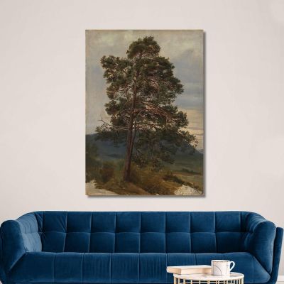 Study Of A Pine Tree Adolph Tidemand atd77 canvas print 