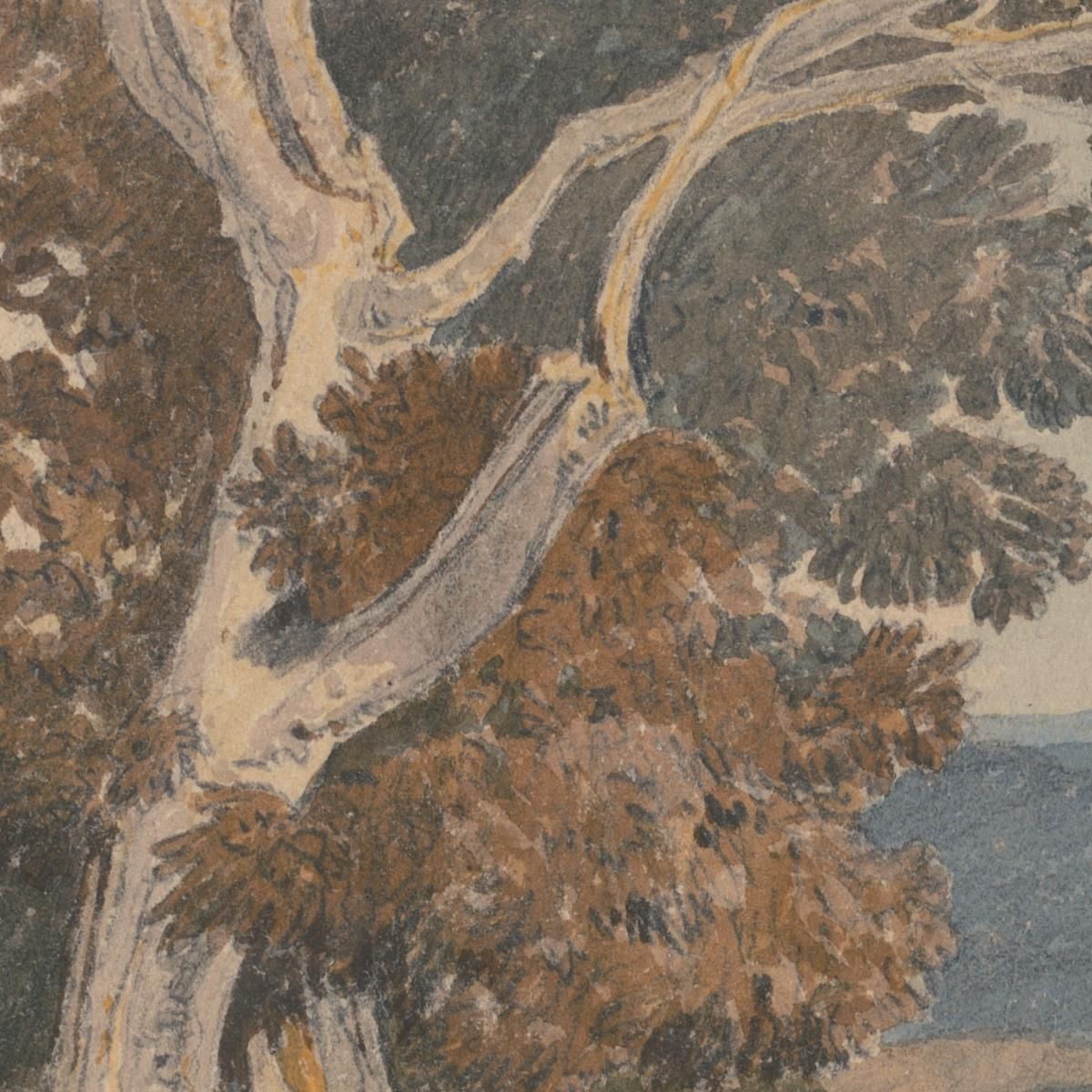 A Group Of Trees By A Fence John Sell Cotman jsc2 canvas print