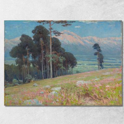 Summer Snow In The Tatras Ľudovít Čordák lco77 canvas print 