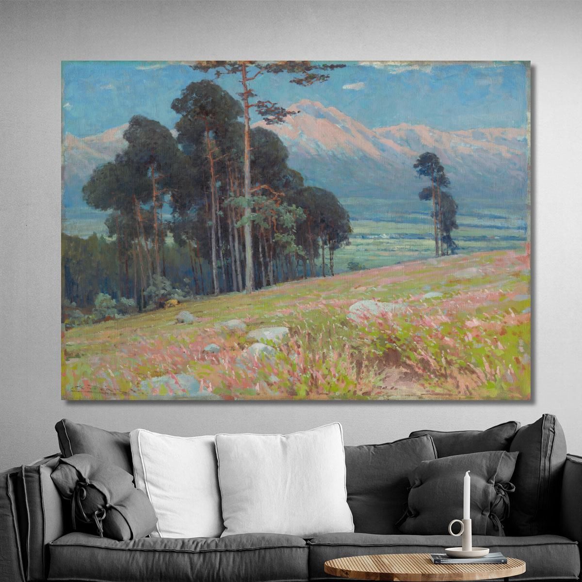 Summer Snow In The Tatras Ľudovít Čordák lco77 canvas print 