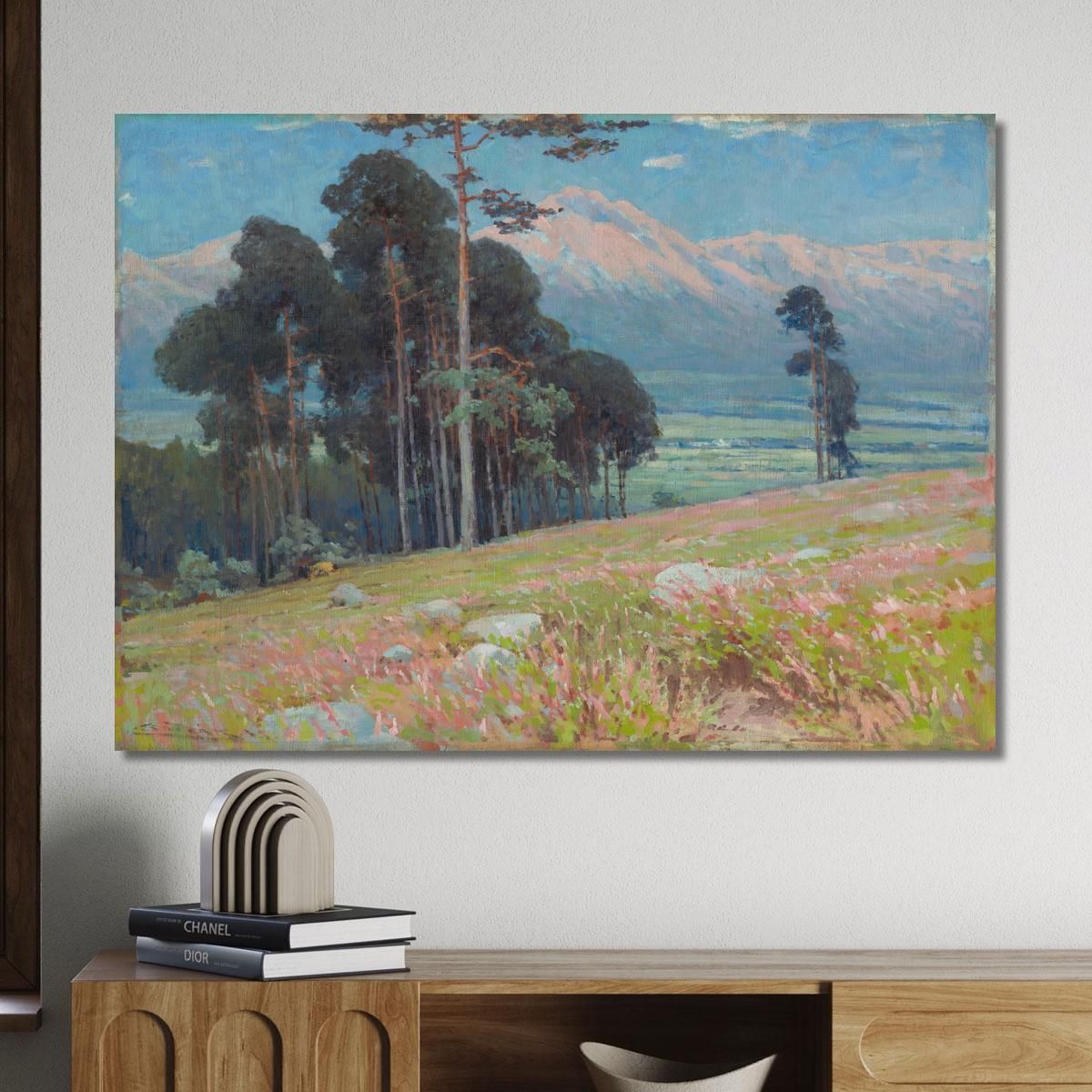 Summer Snow In The Tatras Ľudovít Čordák lco77 canvas print 