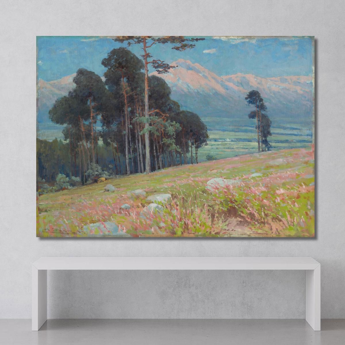 Summer Snow In The Tatras Ľudovít Čordák lco77 canvas print 