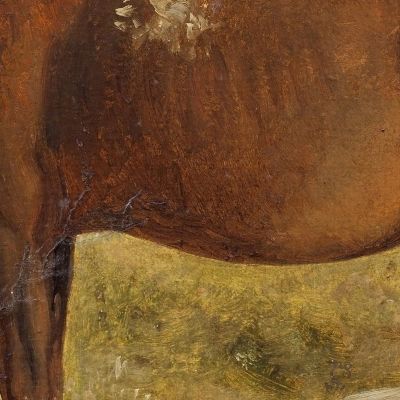 Rosinante. Study Of An Old Standing Horse Wilhelm Marstrand wmr57 canvas print