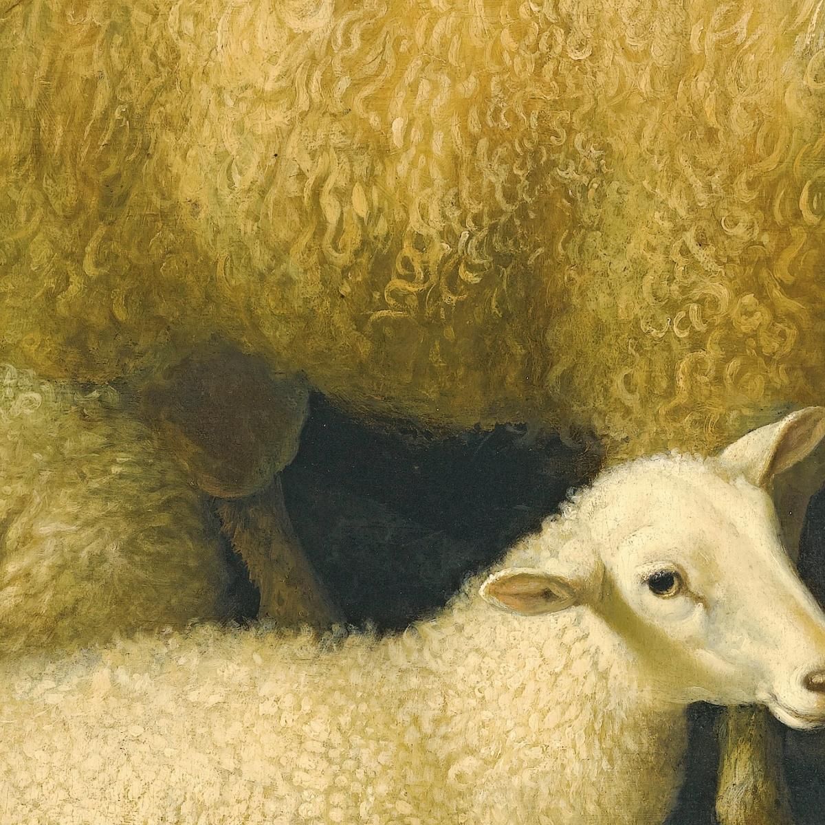 A Barn Interior With A Four-Horned Ram And Four Ewes And A Goat Aelbert Cuyp acu1 canvas print