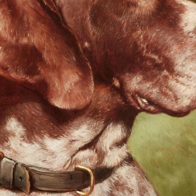 Head Of A German Shorthaired Pointer Carl Reichert crc30 canvas print