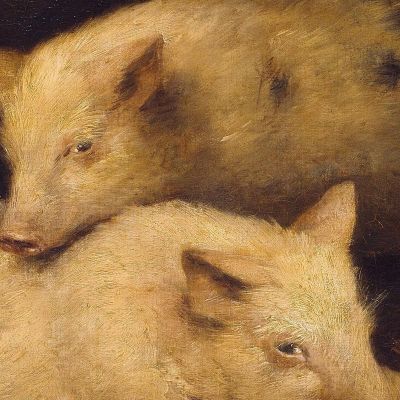 Pigs George Morland gmo27 canvas print