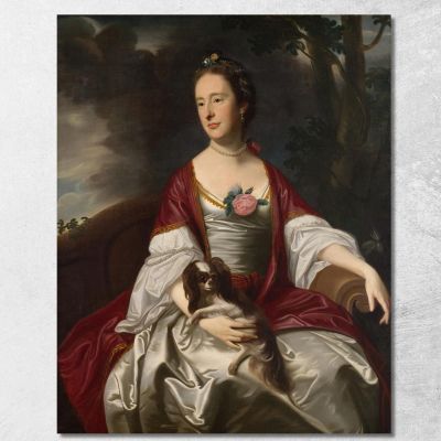 Mrs. Jerathmael Bowers John Singleton Copley jsg43 canvas print 