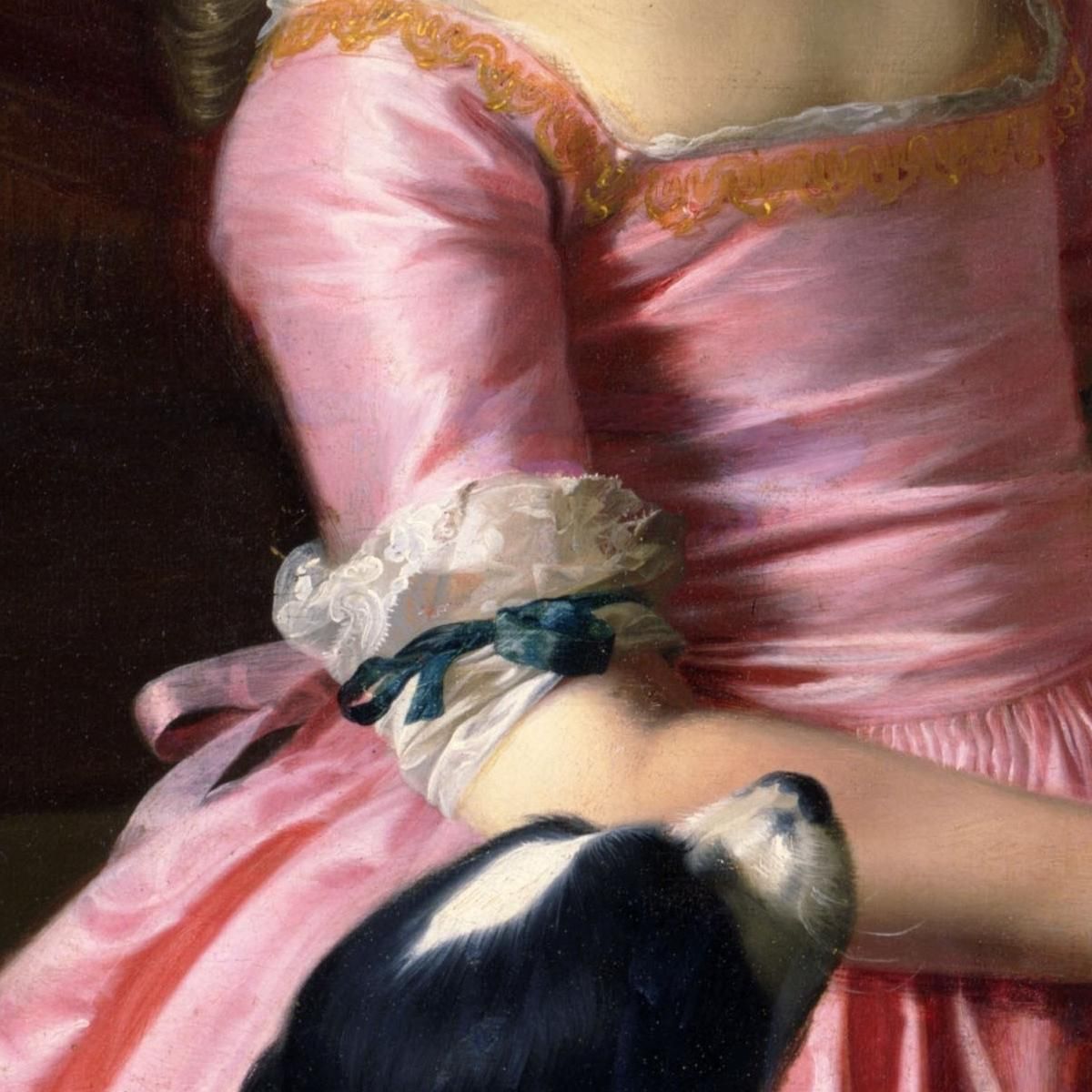 Young Lady With A Bird And A Dog John Singleton Copley jsg68 canvas print