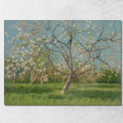 Study Of Blooming Trees In An Orchard Ladislav Mednyánszky lmd58 canvas print 