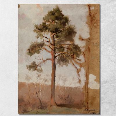 Pines At Połąga Leon Wyczółkowski lwy33 canvas print 