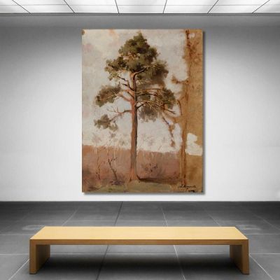 Pines At Połąga Leon Wyczółkowski lwy33 canvas print 