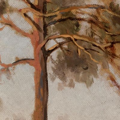Pines At Połąga Leon Wyczółkowski lwy33 canvas print