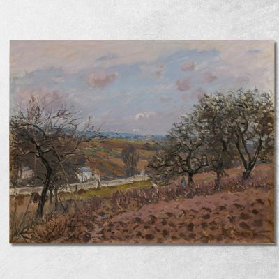 Bougival Alfred Sisley asi10 canvas print 
