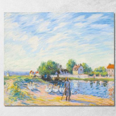 Les Oies À Saint-Mammès Alfred Sisley asi49 canvas print 