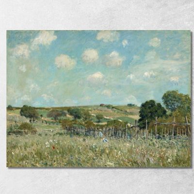 Meadow Alfred Sisley asi57 canvas print 