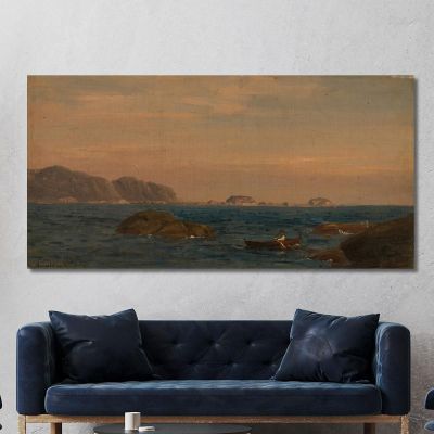 From Rekefjord Amaldus Nielsen ani91 canvas print 