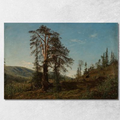 In Vingerasheia Telemark Amaldus Nielsen ani143 canvas print 
