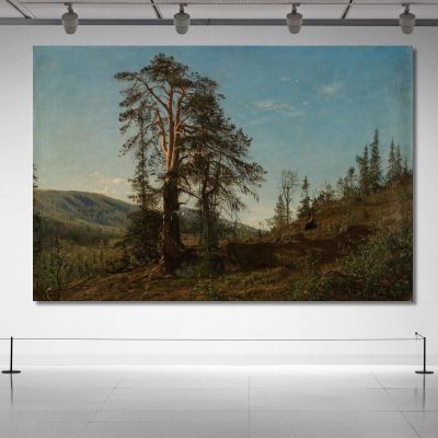 In Vingerasheia Telemark Amaldus Nielsen ani143 canvas print 