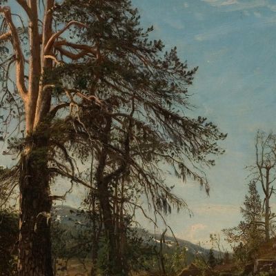 In Vingerasheia Telemark Amaldus Nielsen ani143 canvas print