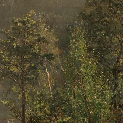 Morning Mood. Teroen Hardanger Amaldus Nielsen ani165 canvas print