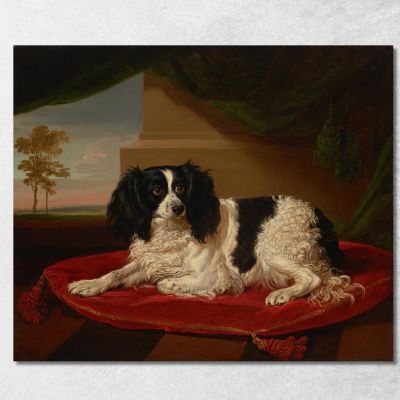A King Charles Spaniel On A Red Cushion 2 James Ward jwr5 canvas print 