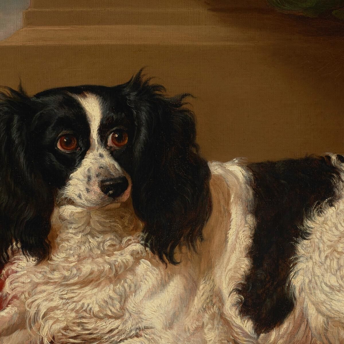 A King Charles Spaniel On A Red Cushion 2 James Ward jwr5 canvas print