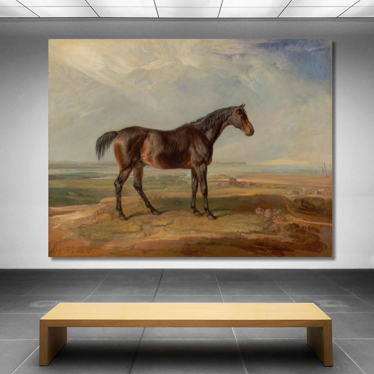 Dr. Syntax A Bay Racehorse Standing In A Coastal Landscape An Estuary Beyond James Ward jwr15 canvas print 