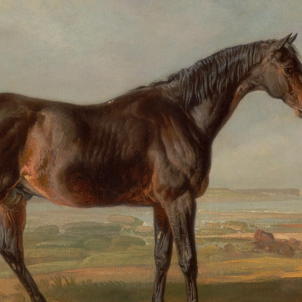 Dr. Syntax A Bay Racehorse Standing In A Coastal Landscape An Estuary Beyond James Ward jwr15 canvas print