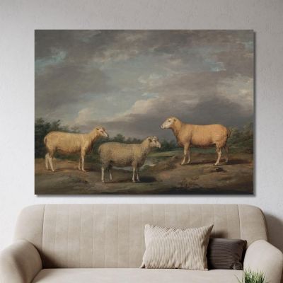 Ryelands Sheep The King'S Ram The King'S Ewe And Lord Somerville'S Wether James Ward jwr32 canvas print 