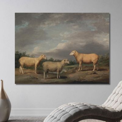 Ryelands Sheep The King'S Ram The King'S Ewe And Lord Somerville'S Wether James Ward jwr32 canvas print 